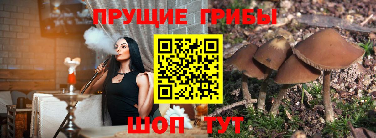 Псилоцибиновые грибы ЛСД Лесосибирск