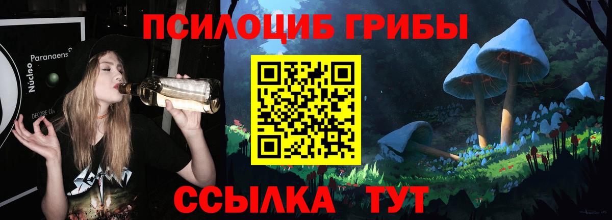 Лесосибирск  Псилоцибиновые грибы мицелий  Псилоцибиновые грибы Psilocybe  Вход с VPN 